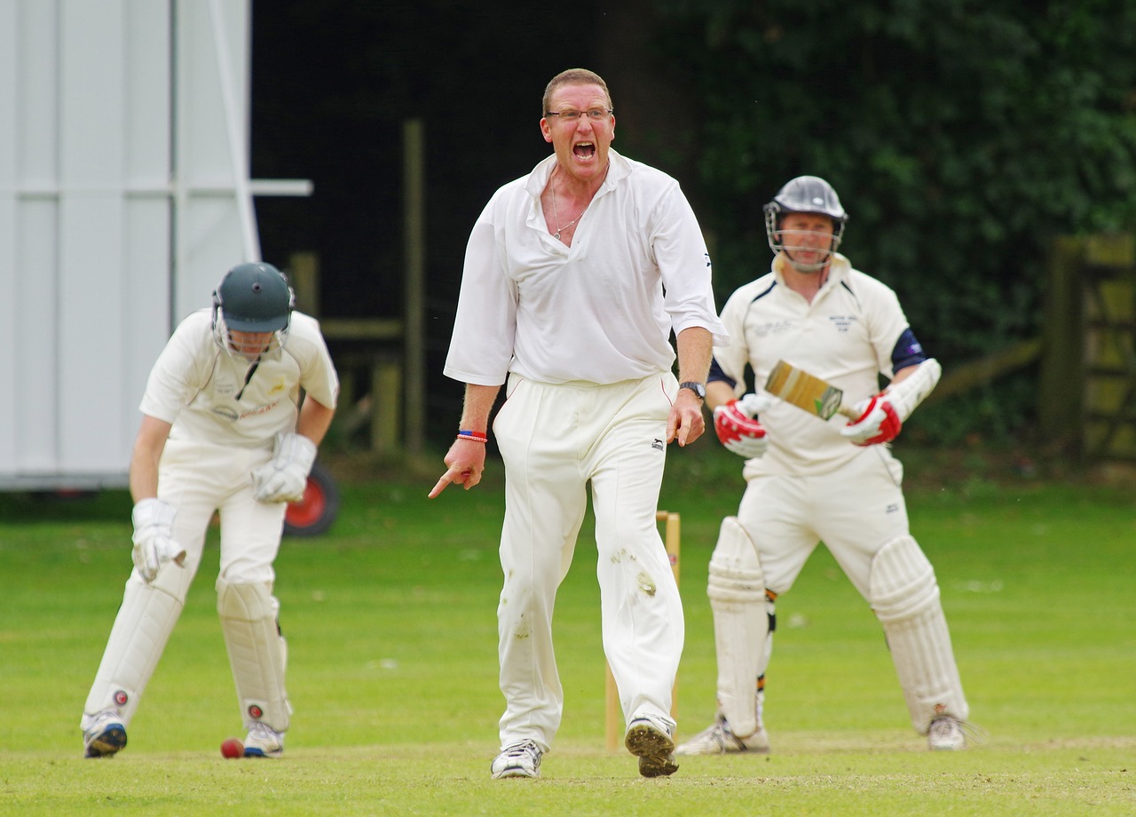 Cricket is also making family to play