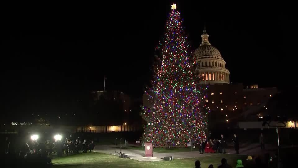 Capitólio acende árvore de Natal nos Estados Unidos