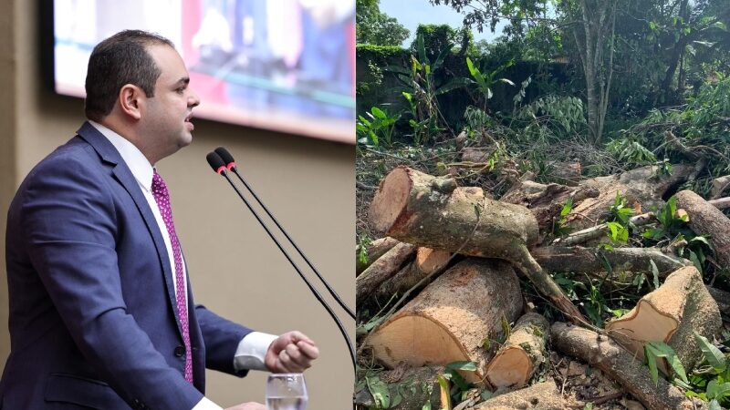 Roberto Cidade faz alerta para pesquisa que mostra que Manaus é a capital que mais perdeu vegetação em 20 anos