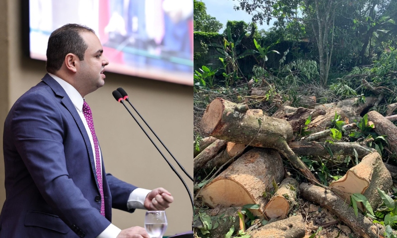 Roberto Cidade faz alerta para pesquisa que mostra que Manaus é a capital que mais perdeu vegetação em 20 anos