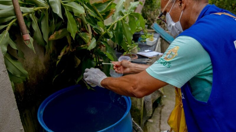 Manaus registra 16 novos casos de dengue em apenas uma semana