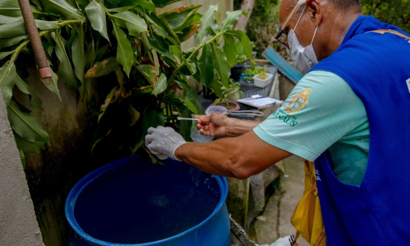 Manaus registra 16 novos casos de dengue em apenas uma semana